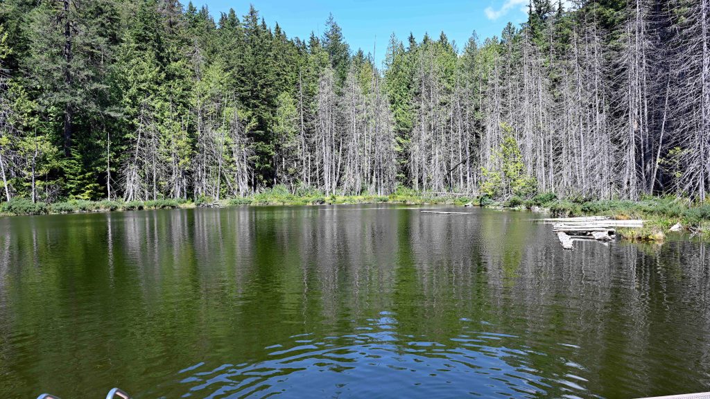 Cypress Falls - Whyte Lake dsc 3927 1