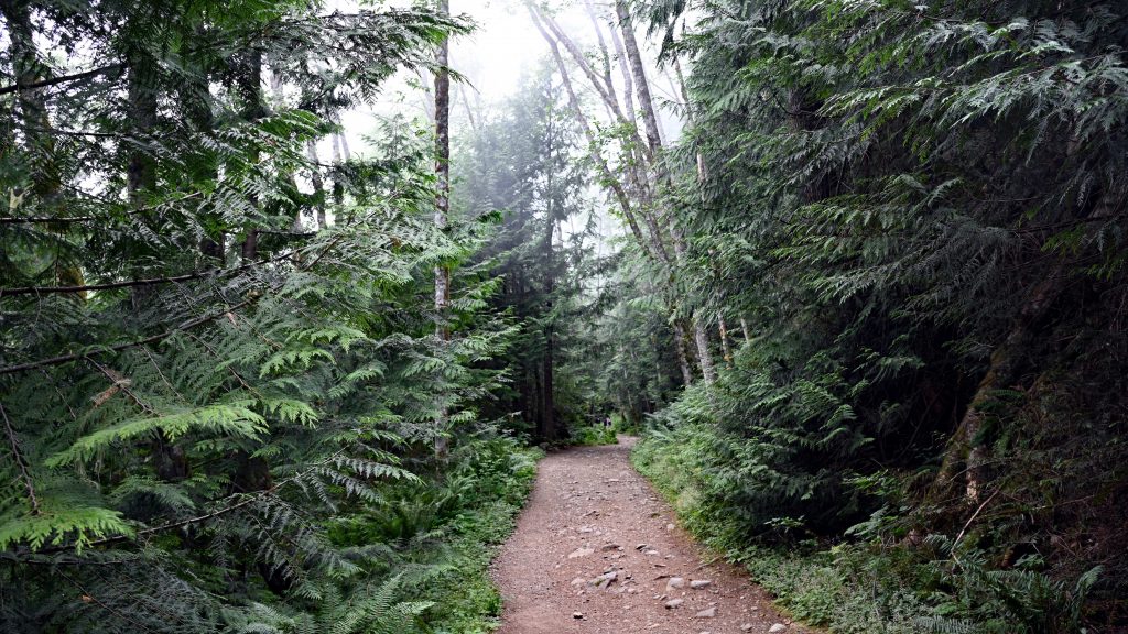 Tunnel Bluffs dsc 3931 1