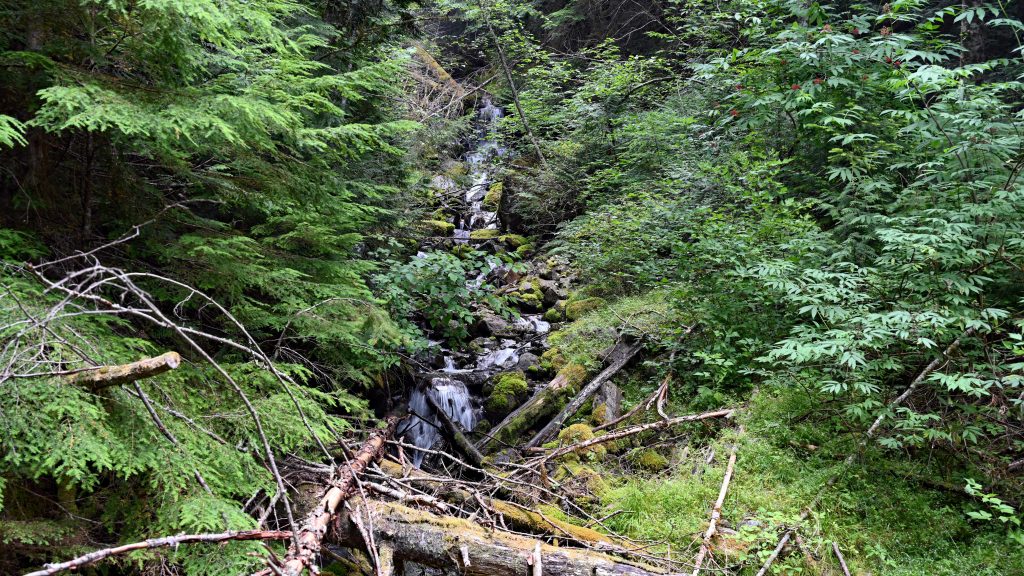 Tunnel Bluffs dsc 3934 1