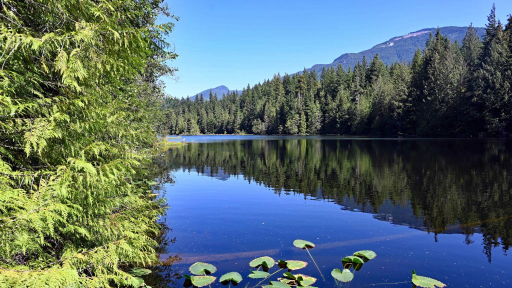 Four Lakes Trail B.C. dsc 3977 1