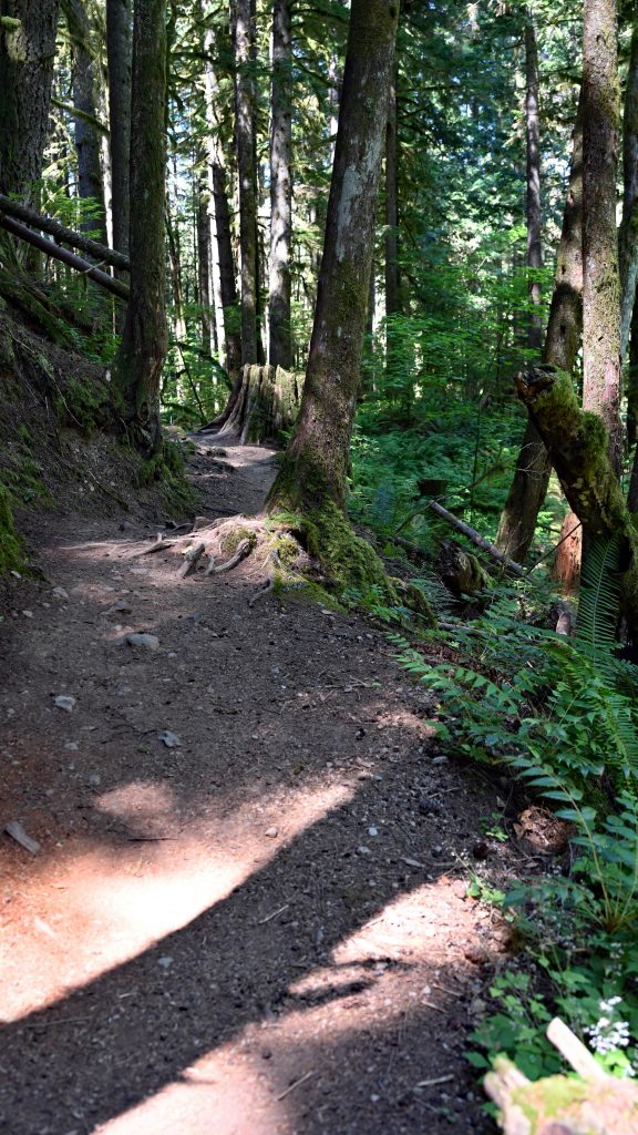 Four Lakes Trail B.C. dsc 3978 1