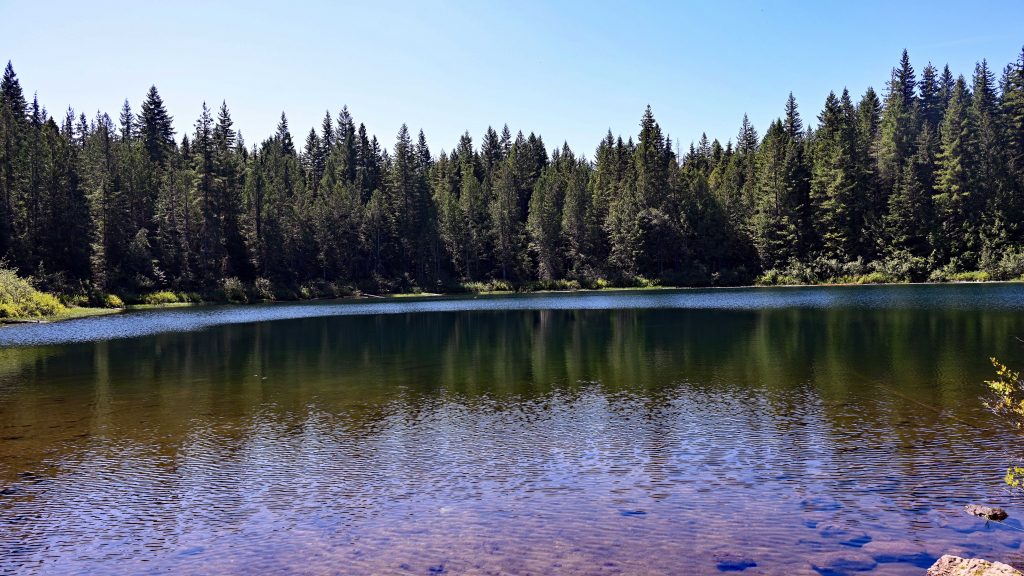 Four Lakes Trail B.C. dsc 3982 1
