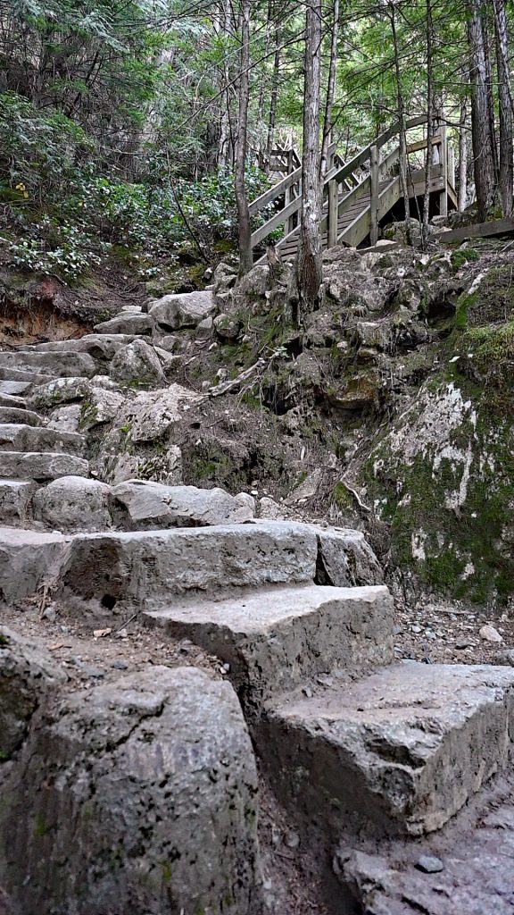 Der Stawamus Chief Trail dsc 3999