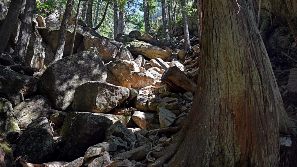 Der Stawamus Chief Trail dsc 4050 1