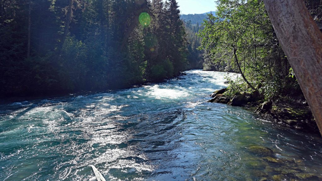 Loggers Lake b.c. dsc 4070 1
