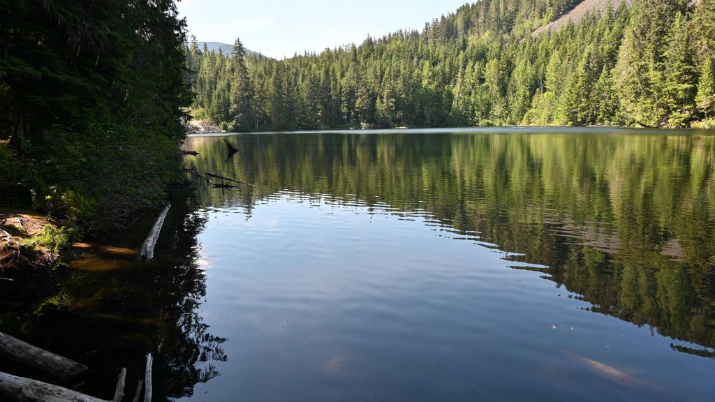 Loggers Lake b.c. dsc 4079 1
