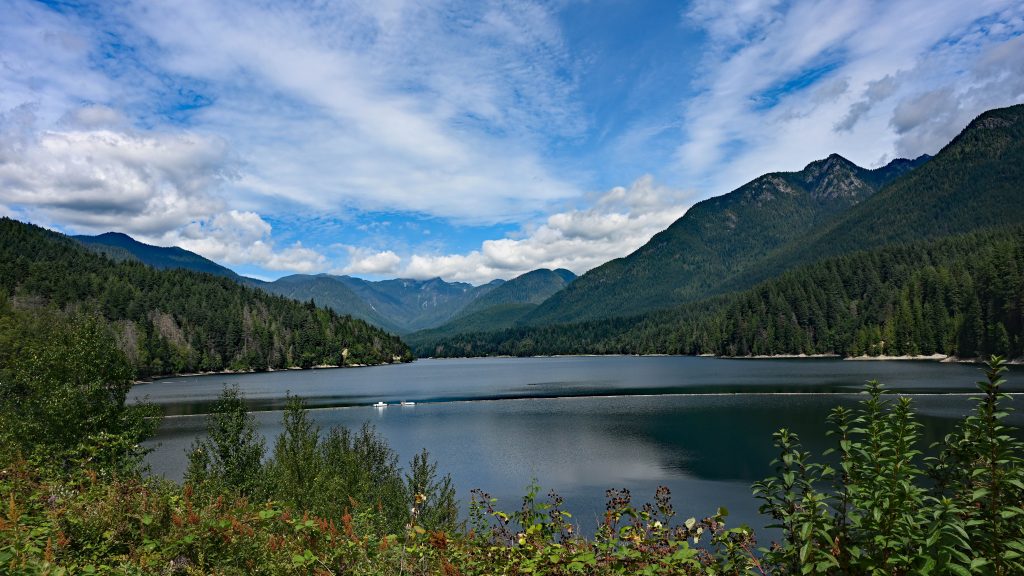 Cleveland Park - Capilano Bridge dsc 4113 1