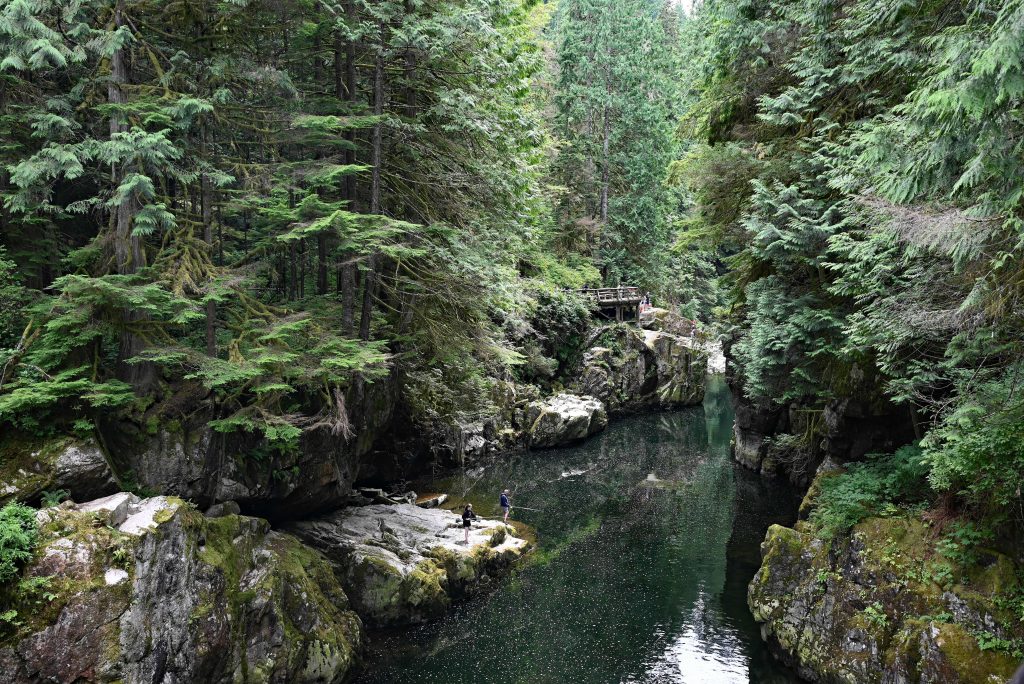 Cleveland Park - Capilano Bridge dsc 4117 1