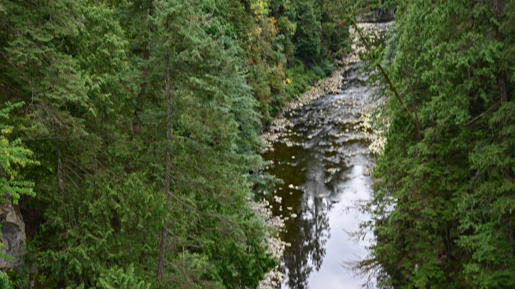 Cleveland Park - Capilano Bridge dsc 4130 1