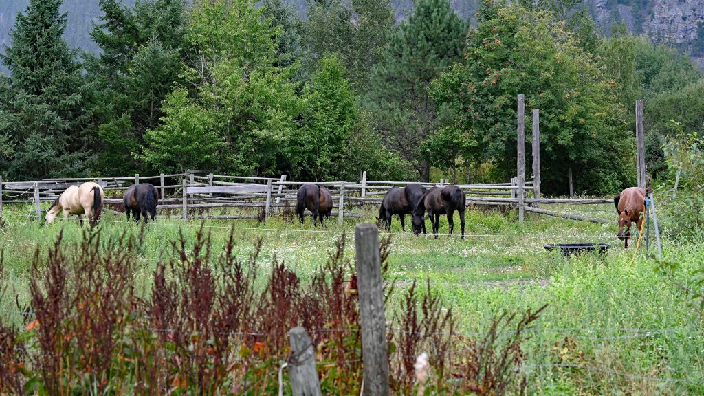 Nairn Falls - One Mile Lake dsc 4169 1