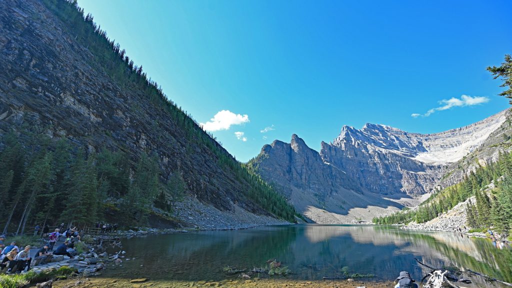 The Big Beehive dsc 4552 1