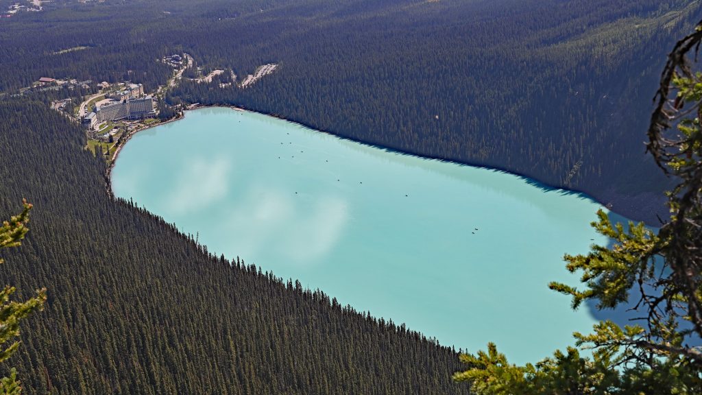 The Big Beehive dsc 4559 1