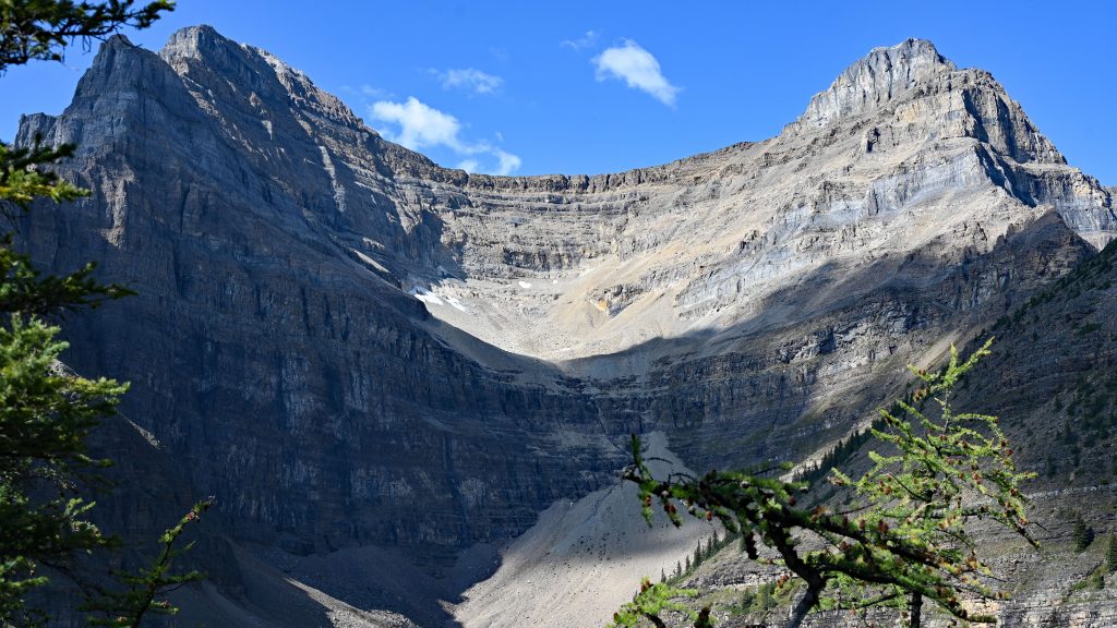 The Big Beehive dsc 4564 1