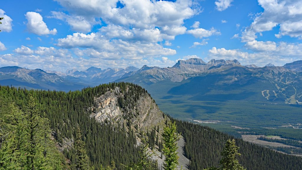 The Big Beehive dsc 4567 1