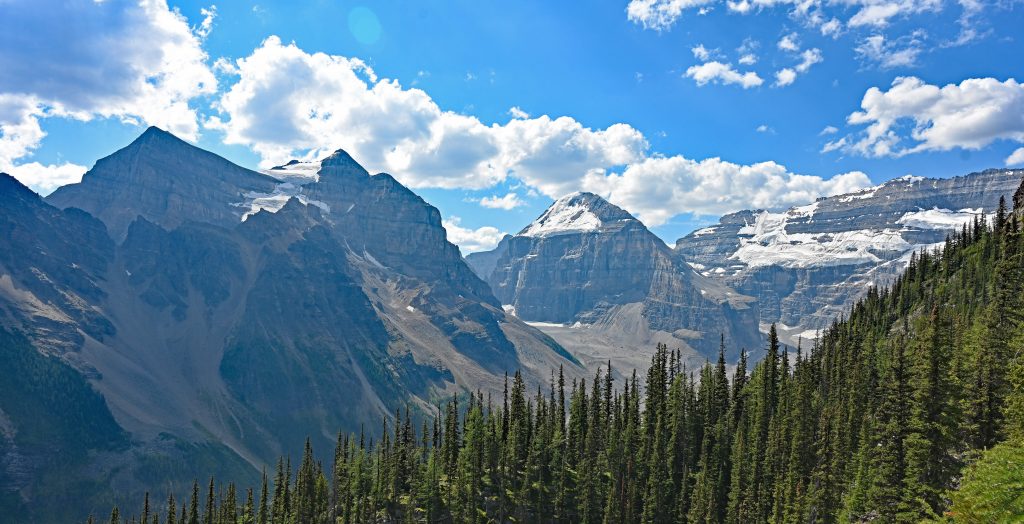 The Big Beehive dsc 4581 1