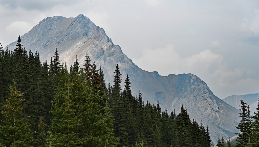 Spray Lake & Elbo Lake dsc 4893 1