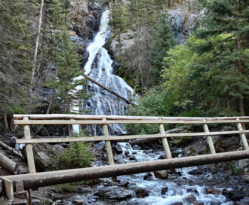Pine Creek & Mammoth, Yellowstone dsc 5376 1