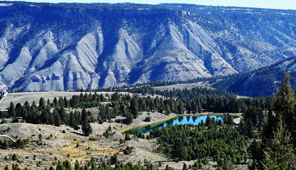 Von Mammoth zum Norris Geyser Basin dsc 5428 1