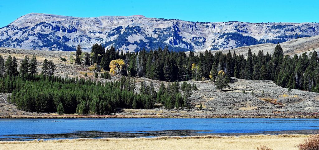Von Mammoth zum Norris Geyser Basin dsc 5446 1