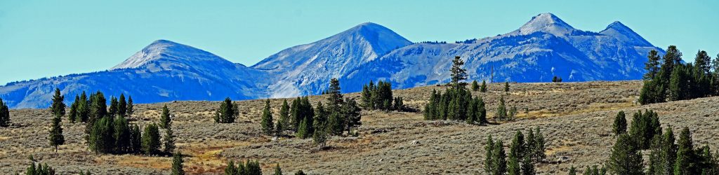 Von Mammoth zum Norris Geyser Basin dsc 5449 1