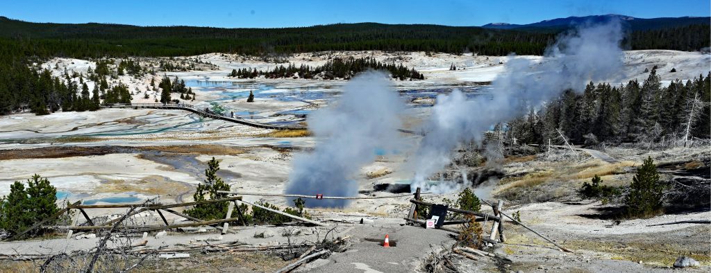 Von Mammoth zum Norris Geyser Basin dsc 5455 1