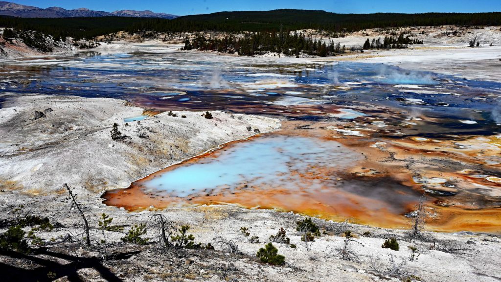 Von Mammoth zum Norris Geyser Basin dsc 5463 1