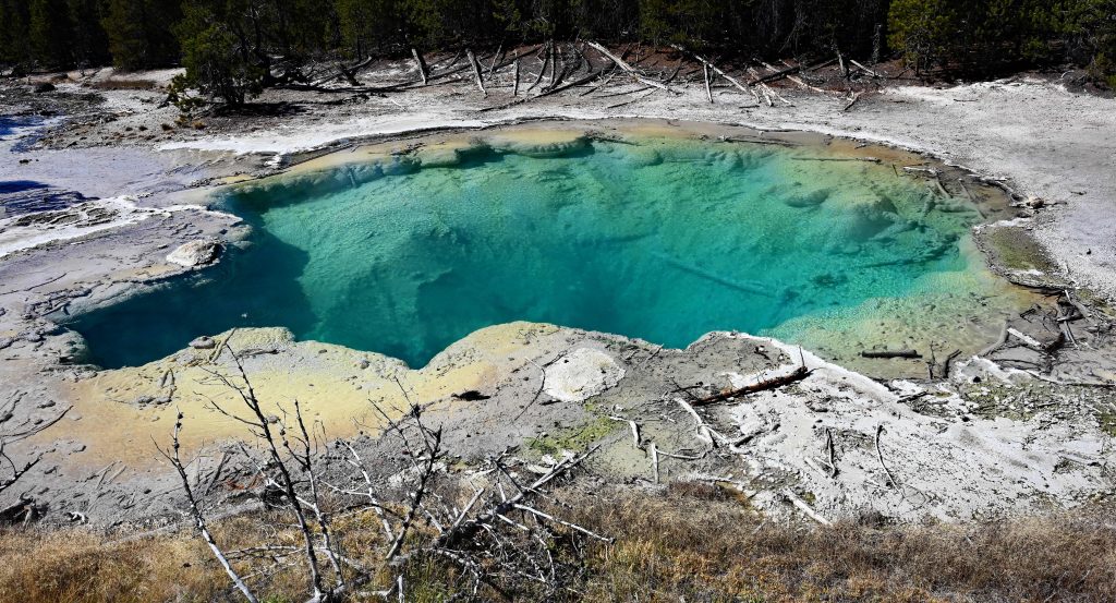 Von Mammoth zum Norris Geyser Basin dsc 5466 1