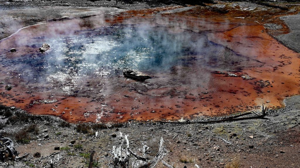 Von Mammoth zum Norris Geyser Basin dsc 5476