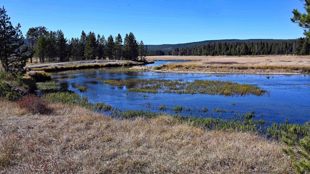 Von Mammoth zum Norris Geyser Basin dsc 5486 1