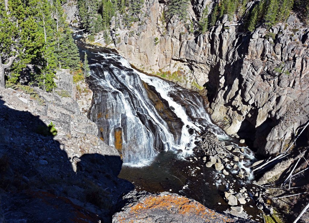 Von Mammoth zum Norris Geyser Basin dsc 5487 1 1