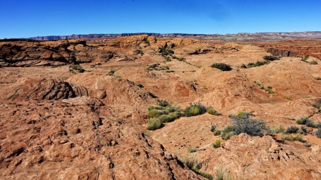 Nature at its beauty dsc 5950