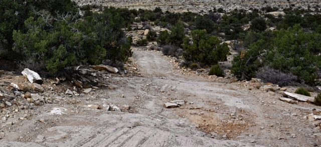 this part has been one of the better this part has been one of the better