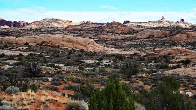 wide panoramic shot of the dunes