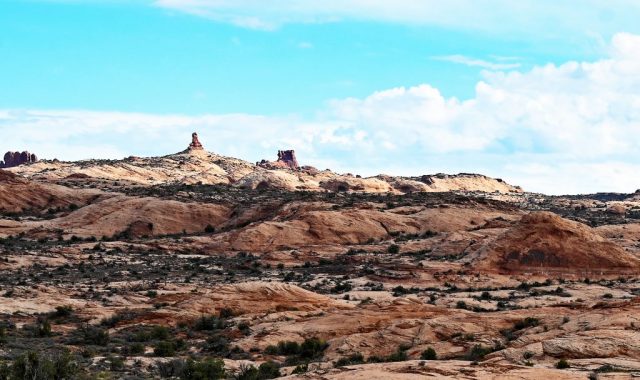 detail of the rock’s smooth, undulating surface