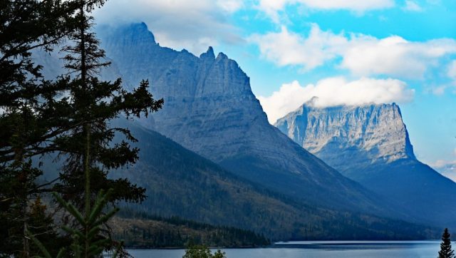 little chief (left) dusty star (right