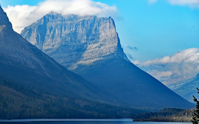 dusty star in a glance