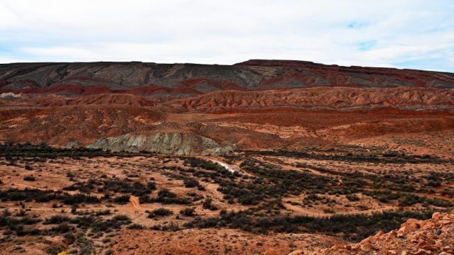 Sugarloaf - Round and powerful, like a golden glow in the sunlight dsc 6370