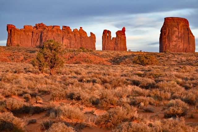 stagecoach, bear and rabbit, castle butte - all in their glance stagecoach, bear and rabbit, castle butte