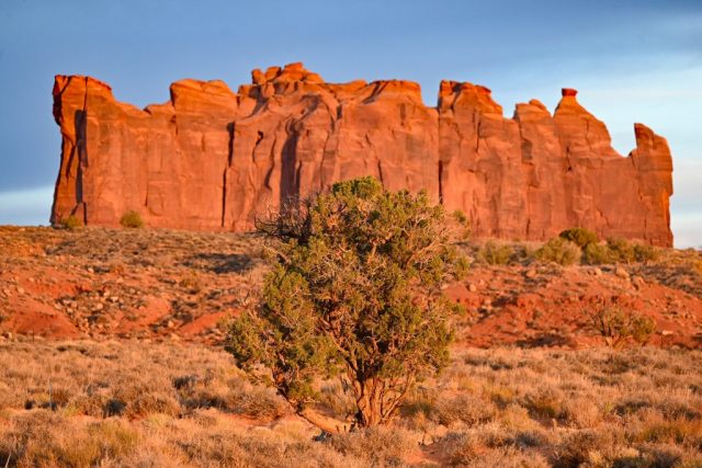 Stagecoach - in bright light camel butte