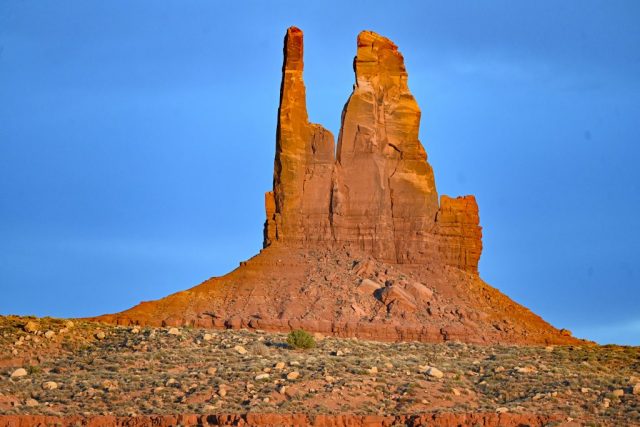 King of his Crown - proud, sublime, crowned with sun dsc 6419