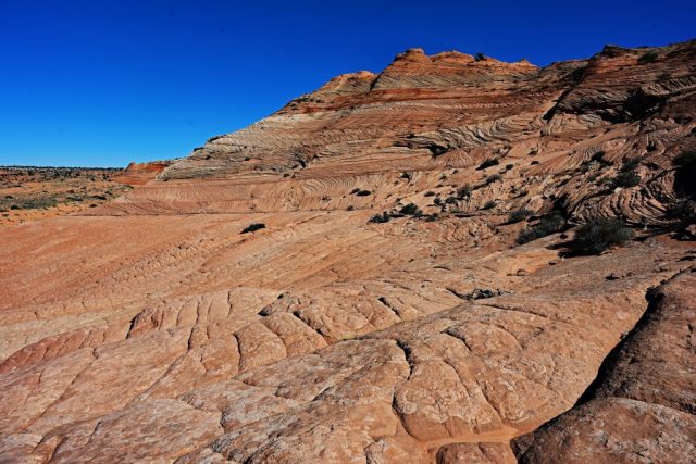 Scince Fiction dsc 6444