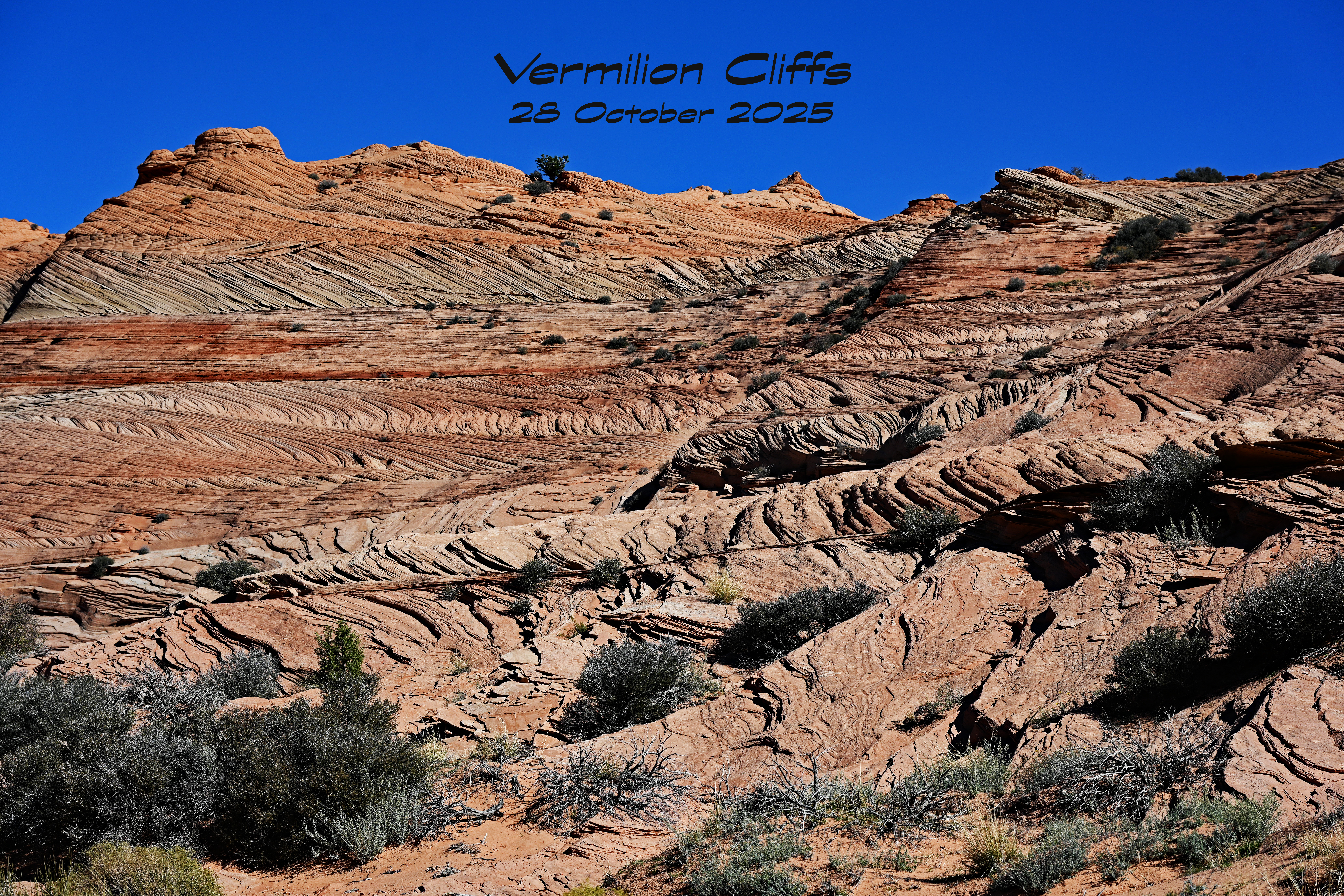 Wirepass Trailhead – Vermilion Cliffs dsc 6445 1