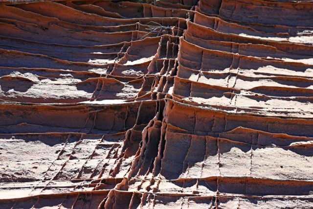 the thin ribs of rock underfoot the thin ribs of rock underfoot