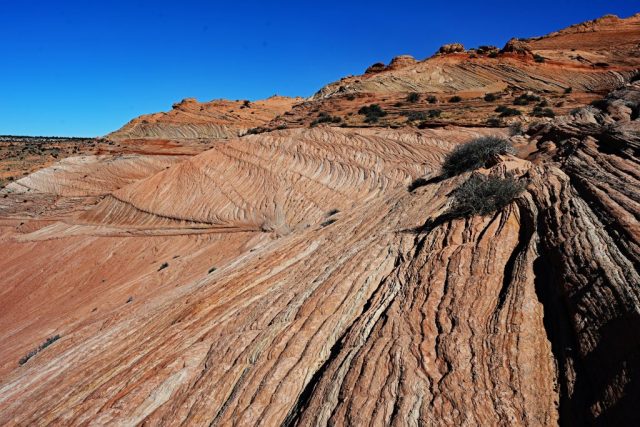 Endless Beauty dsc 6447