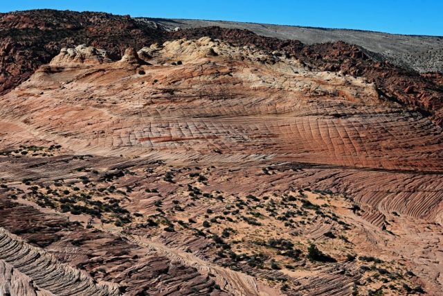 view toward the opposite ridge with its columns view toward the opposite ridge with its columns