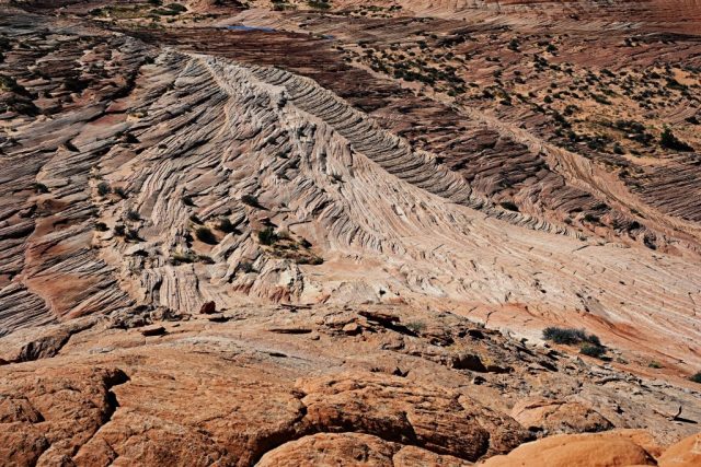 the “spine” descending across the slope the “spine” descending across the slope