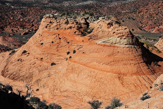 view to the other side from the top see the vegetation there view to the other side from the top see the vegetation there