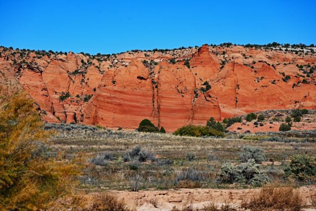the glowing desert in evening light the glowing desert in evening light