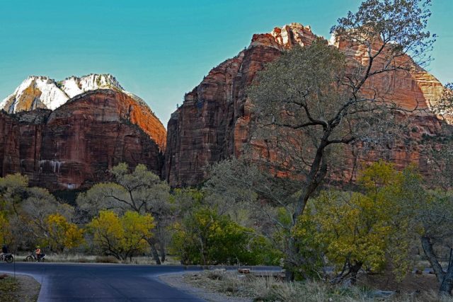 beauty, where ever you are looking