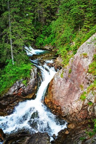 wodogrzmoty mickiewicza